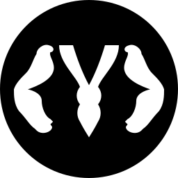 Yellorn: Data Doctor & Universal Viewer